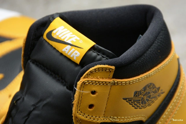 Reps BK air “pollen